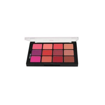 BEN NYE VIVID BLUSH PALETTE